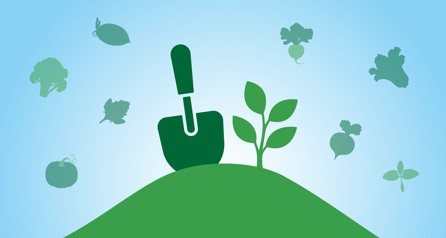 moestuin-schema-2024 moestuin-schema-2024