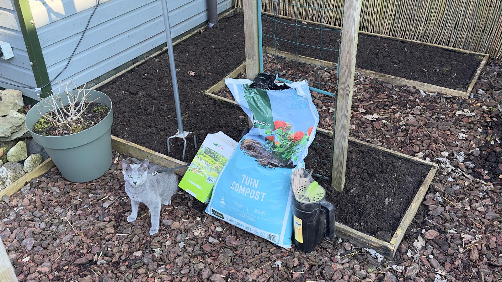 moestuin-grond-verbetering moestuin-grond-verbetering