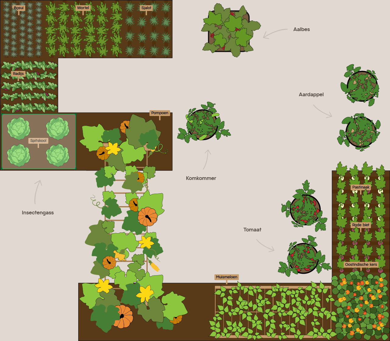 moestuin-plan moestuin-plan